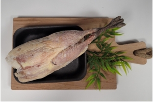 Fazant hen