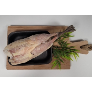 Fazant hen
